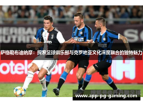 萨格勒布迪纳摩：探索足球俱乐部与克罗地亚文化深度融合的独特魅力