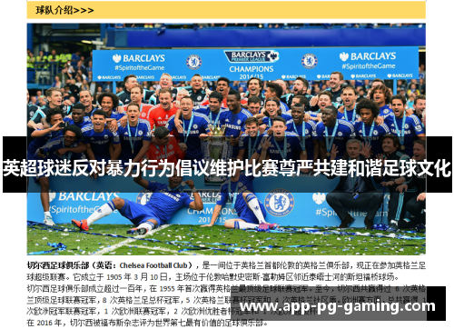 英超球迷反对暴力行为倡议维护比赛尊严共建和谐足球文化