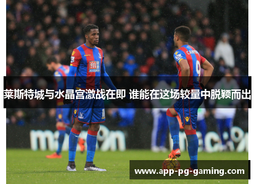 莱斯特城与水晶宫激战在即 谁能在这场较量中脱颖而出 莱斯特城与水晶宫激战在即 谁能在这场较量中脱颖而出