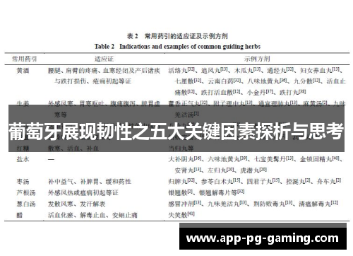 葡萄牙展现韧性之五大关键因素探析与思考