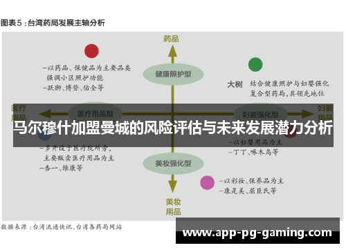 马尔穆什加盟曼城的风险评估与未来发展潜力分析